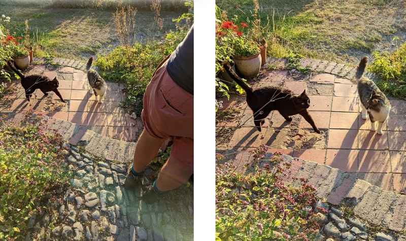 Hình bên phải được crop ảnh giúp người dùng tập trung hơn vào đối tượng muốn truyền tải