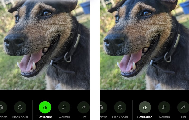 Chế độ Bảo hòa giúp hình ảnh trông tự nhiên hơn khi điều chỉnh lượng nhỏ vừa đủ