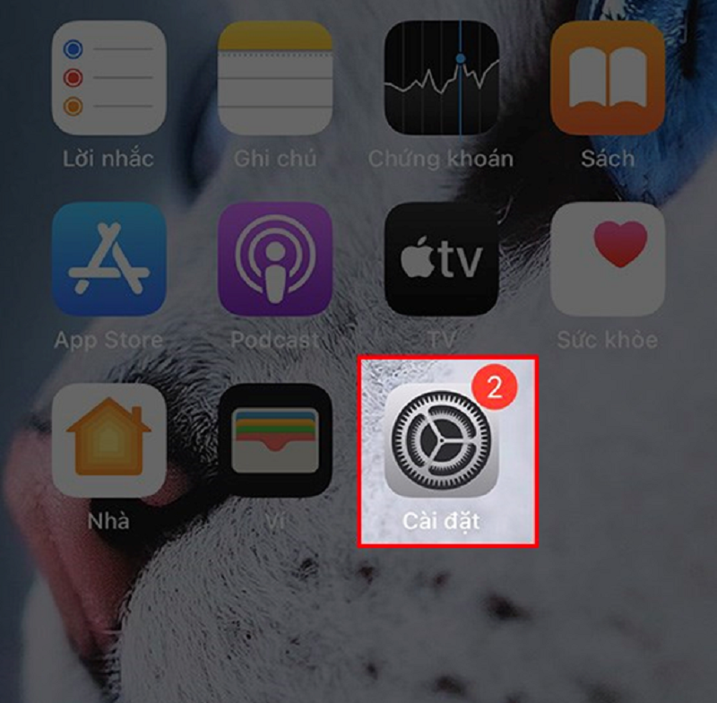 Cách mở quyền truy cập ảnh trên iPhone, bạn đã biết chưa? 