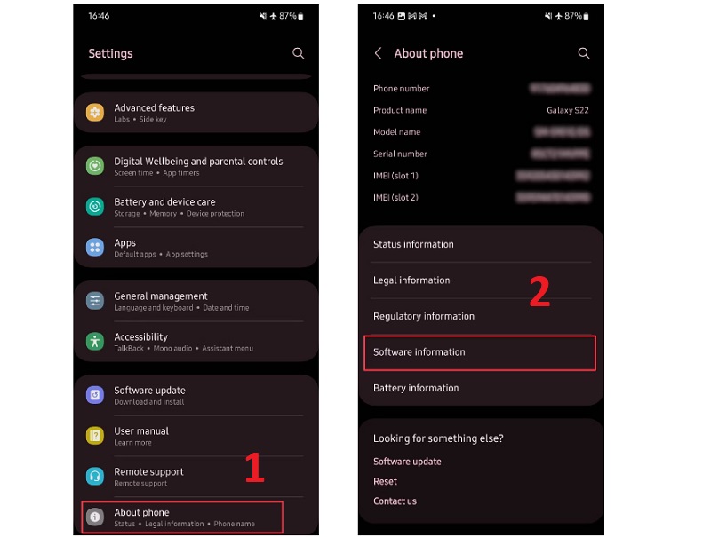 chọn Software Information (Thông tin phần mềm)