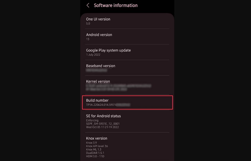 Nhấn chọn Build number