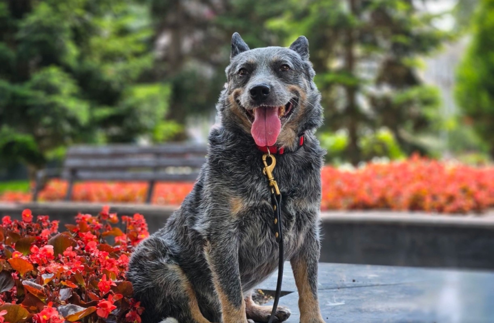 Đánh giá chi tiết Samsung Galaxy Z Fold 5: Smartphone màn hình gập hoàn hảo nhất từ trước đến nay