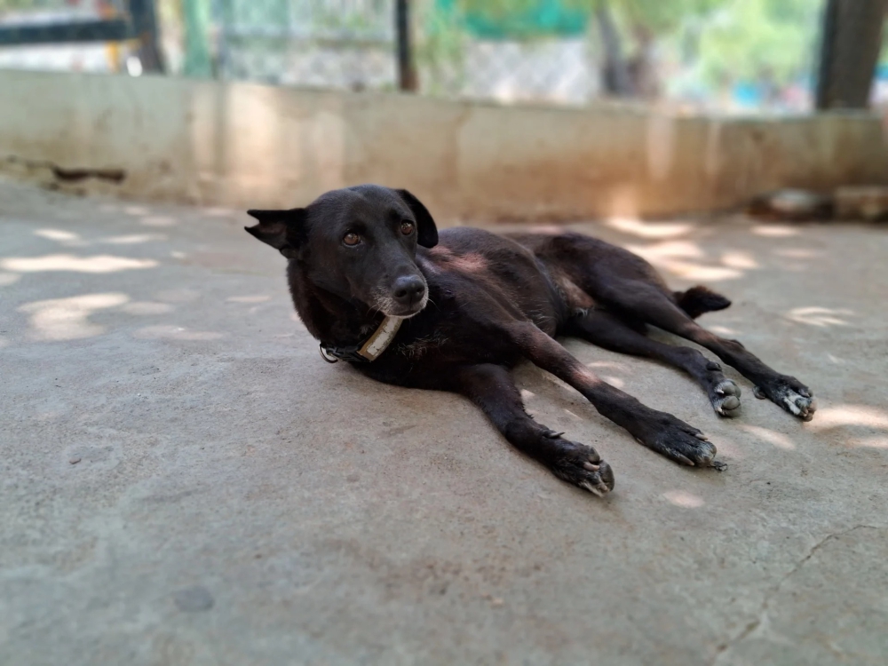 Đánh giá Samsung Galaxy M14 5G