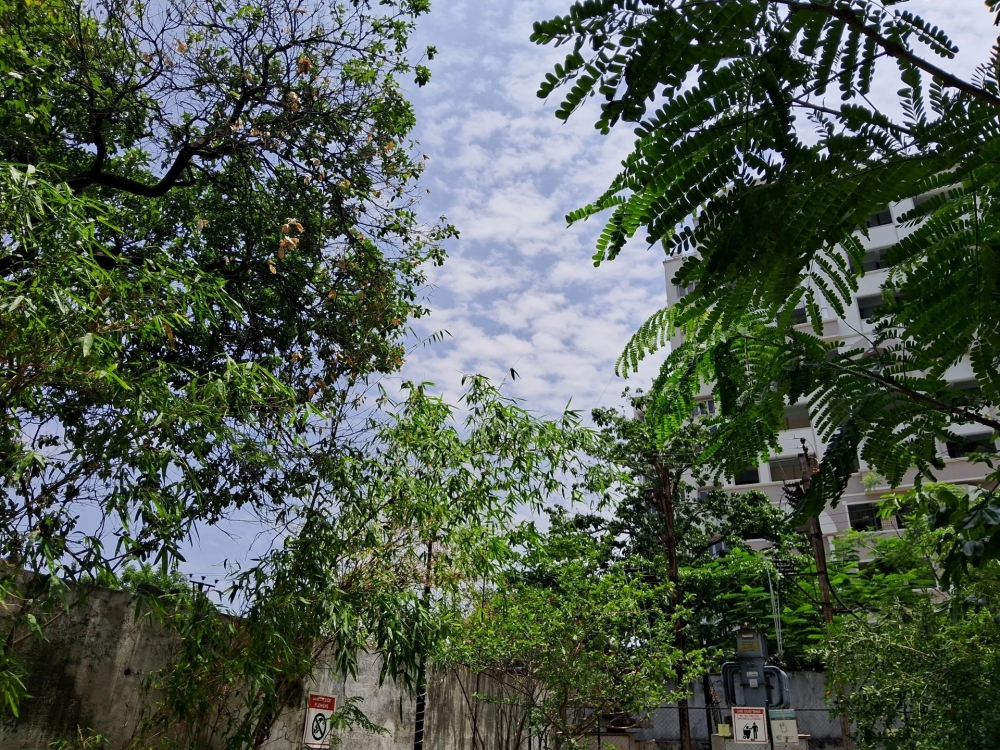 Đánh giá Samsung Galaxy M14 5G