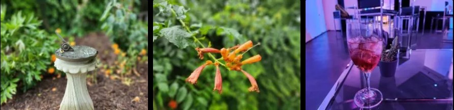 Nhìn lại Samsung Galaxy Z Flip4 sau 6 tháng