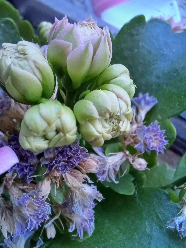 Trải nghiệm và đánh giá chi tiết Galaxy A34 5G