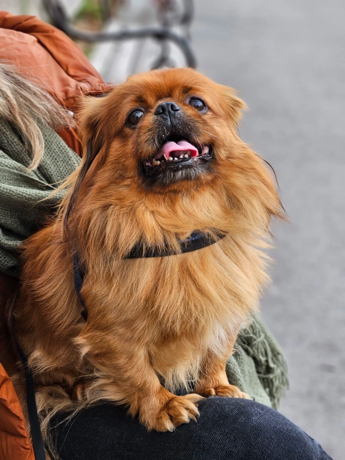 Đánh giá Galaxy S23: Mẫu điện cao cấp với mức giá tầm trung đáng sở hữu nhất