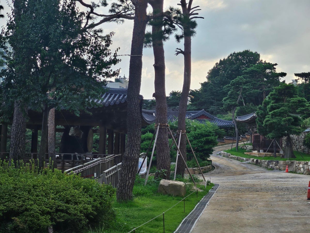 Ấn tượng sau 1 tuần trải nghiệm Galaxy Z Flip5