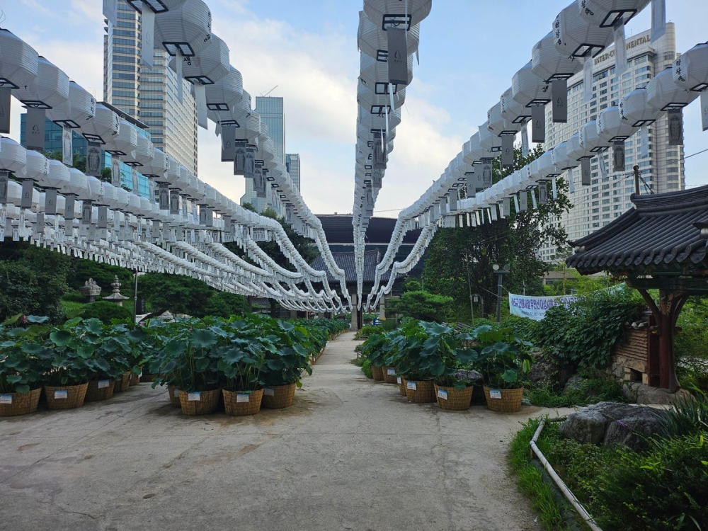 Ấn tượng sau 1 tuần trải nghiệm Galaxy Z Flip5