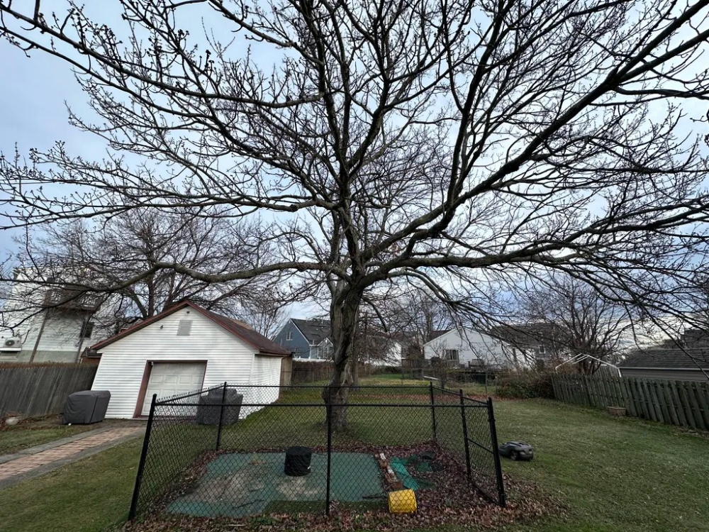 7 mẹo tận dụng camera góc rộng trên điện thoại để chụp ảnh cực chất