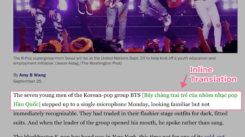 Đính bản dịch trong dòng