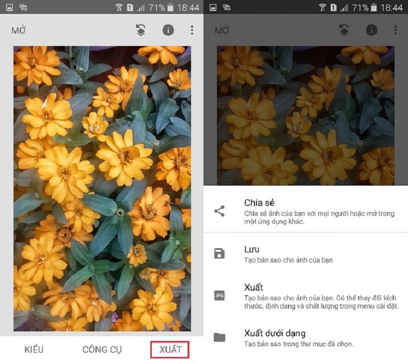   Những Cách Làm Rõ Ảnh Bị Mờ Trên iPhone Hiệu Quả