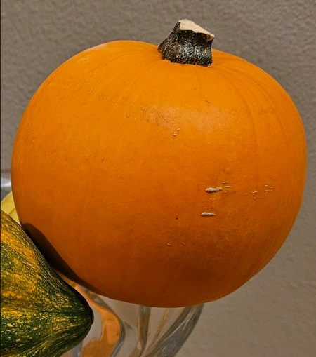 Độ sắc nét của Galaxy S23 Ultra