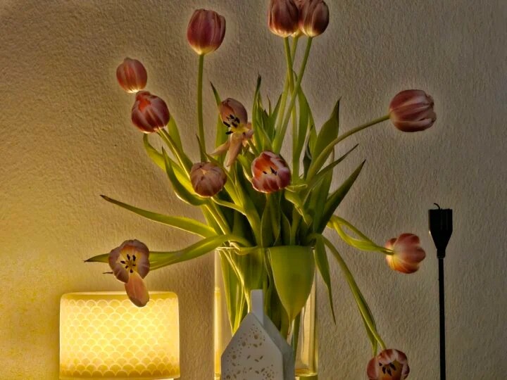 Samsung sẽ khắc phục một sự cố về camera khác trên Galaxy S23 với bản cập nhật tiếp theo