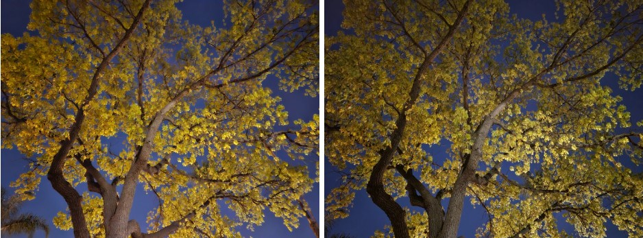 So sánh camera Samsung Galaxy S23 vs Galaxy S21