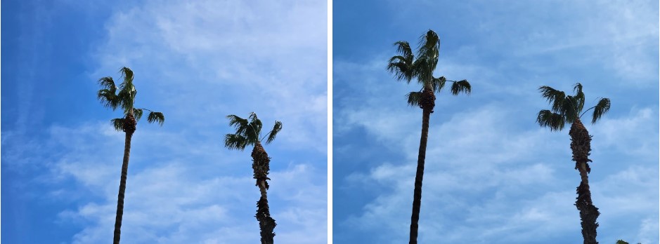 So sánh camera Samsung Galaxy S23 vs Galaxy S21