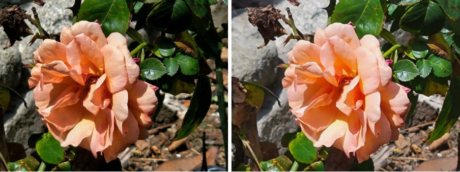 So sánh camera Samsung Galaxy S23 vs Galaxy S21