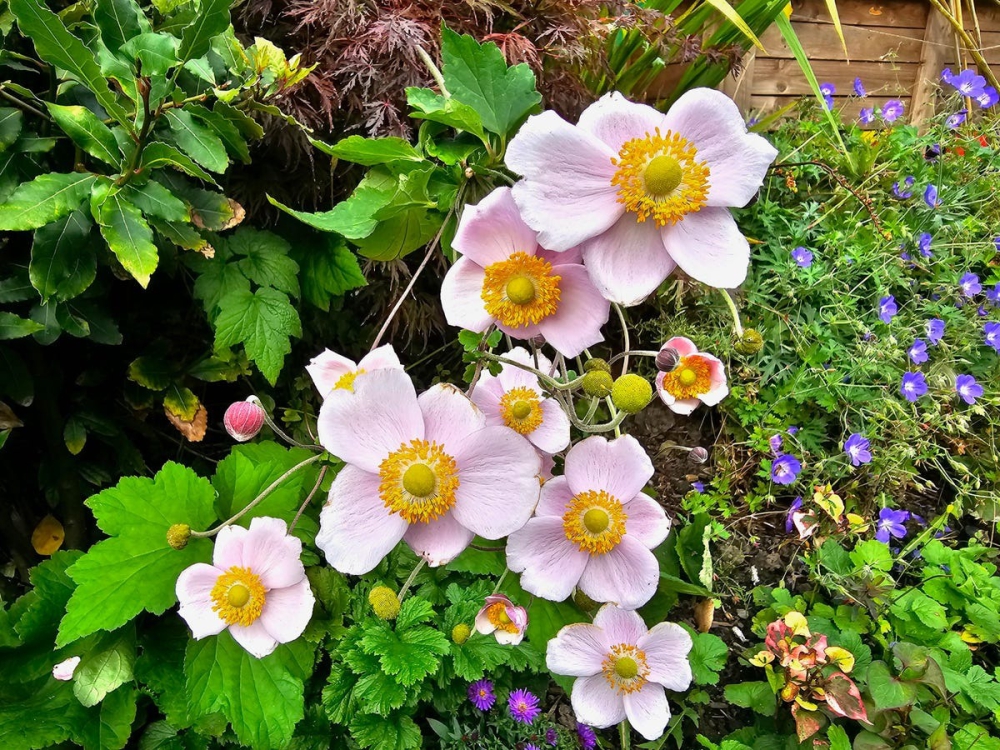 Đọ sức camera iPhone 15 Pro Max vs Galaxy S23 Ultra