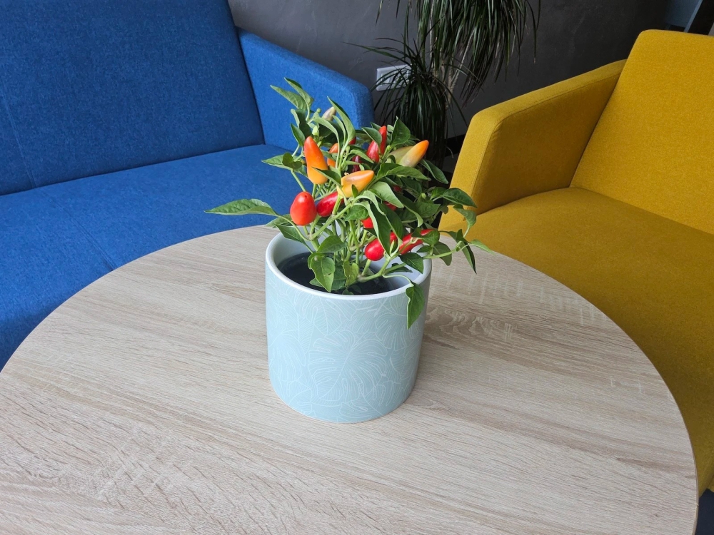 So sánh Galaxy Tab S9 Plus vs Galaxy Tab S9