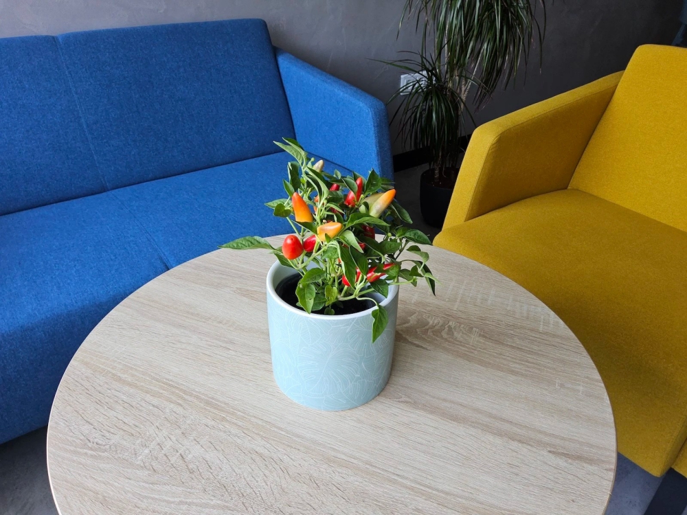 So sánh Galaxy Tab S9 Plus vs Galaxy Tab S9