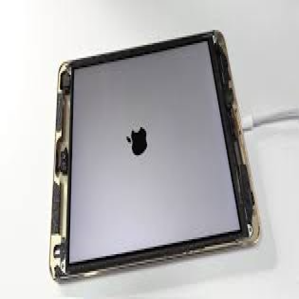 TCSIPM3 - Thay chân sạc iPad Mini 3 - 2